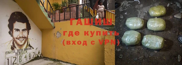 прущие грибы Новодвинск