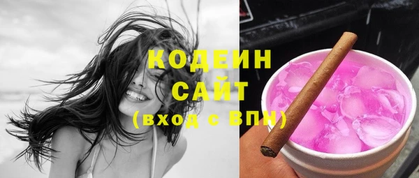 прущие грибы Новодвинск