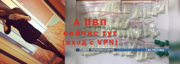 дмт Новокубанск