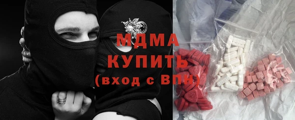 прущие грибы Новодвинск