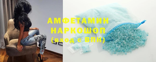 сатива Няндома