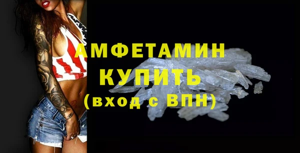 сатива Няндома
