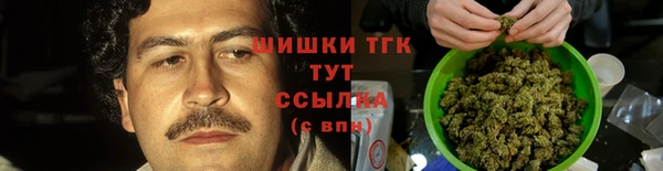 дмт Новокубанск