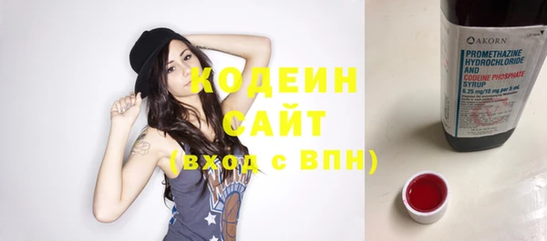 прущие грибы Новодвинск