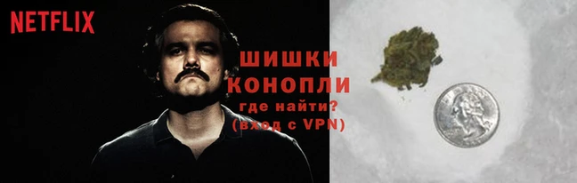 сатива Няндома