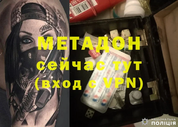 прущие грибы Новодвинск