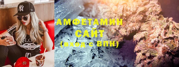 прущие грибы Новодвинск