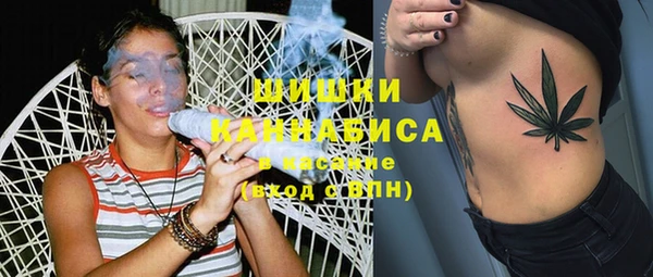 прущие грибы Новодвинск