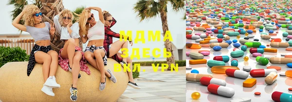 прущие грибы Новодвинск