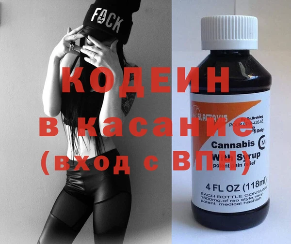 прущие грибы Новодвинск