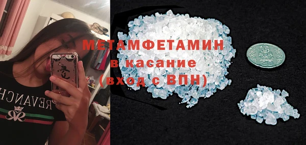 сатива Няндома