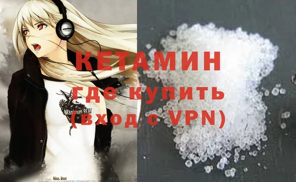 прущие грибы Новодвинск