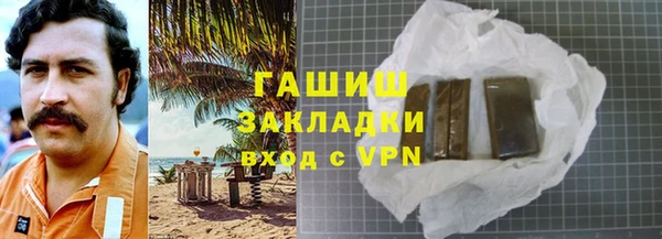 прущие грибы Новодвинск