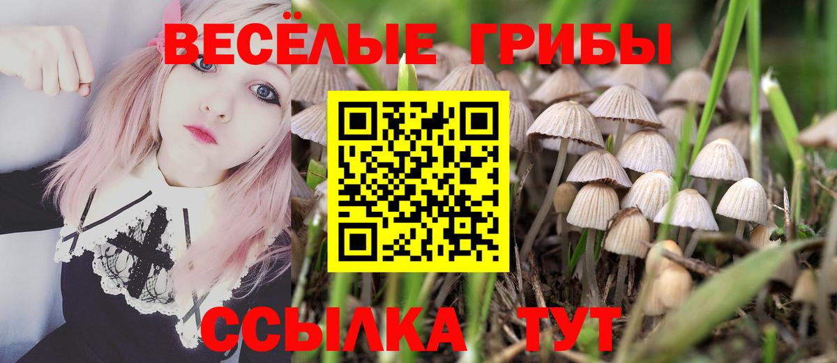 Южно-Сахалинск  Псилоцибиновые грибы MAGIC MUSHROOMS  Вход с VPN 