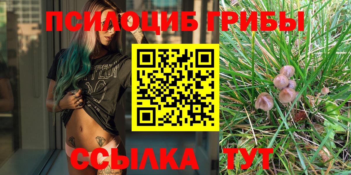 Галлюциногенные грибы MAGIC MUSHROOMS Южно-Сахалинск